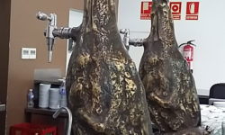 jambon-biere