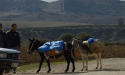 tanger-chefchaouen-intro